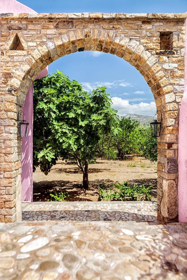 Georgilas Cave House Villa Naxos City Luaran gambar